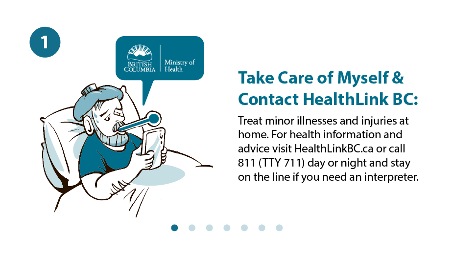 01 Healthlink BC