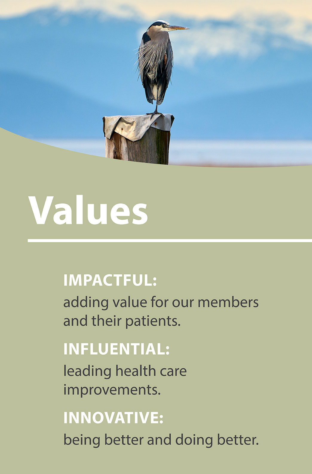 Richmond Division of Family Practice Values